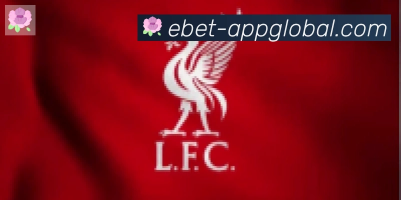 EBET易博体育合作伙伴